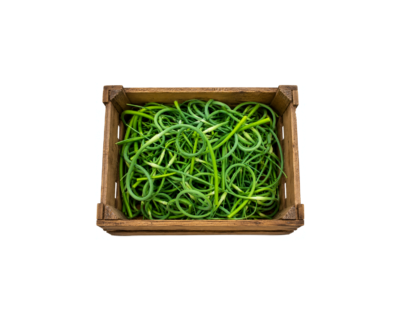 Fleur d'ail