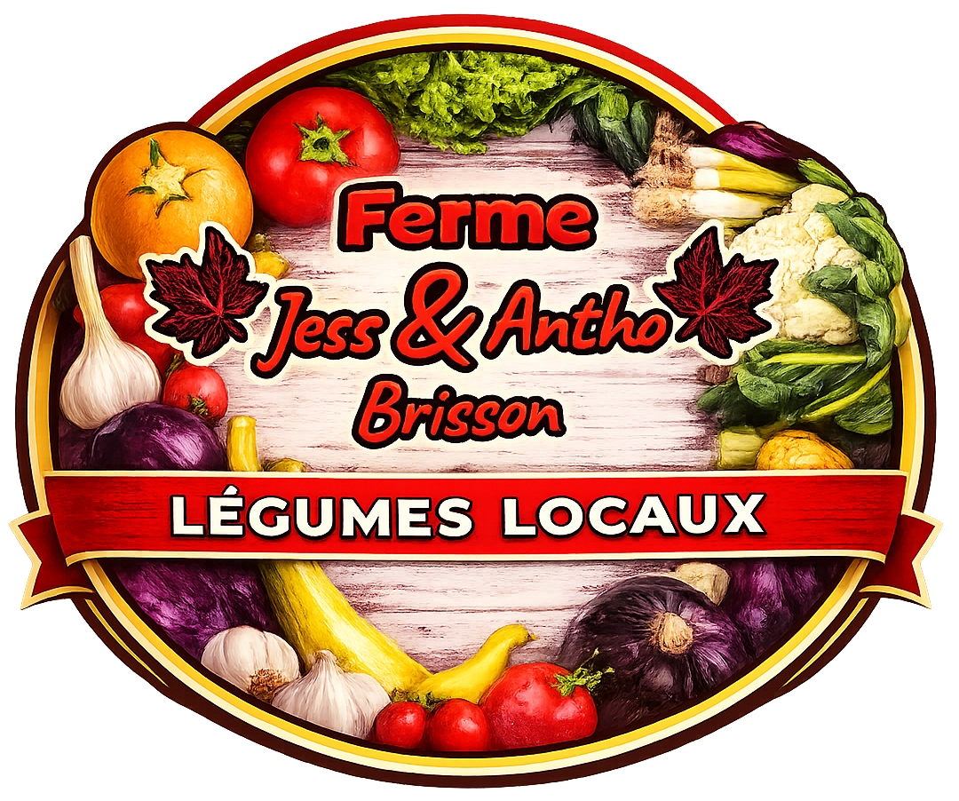 Ferme Jess & Antho Brisson